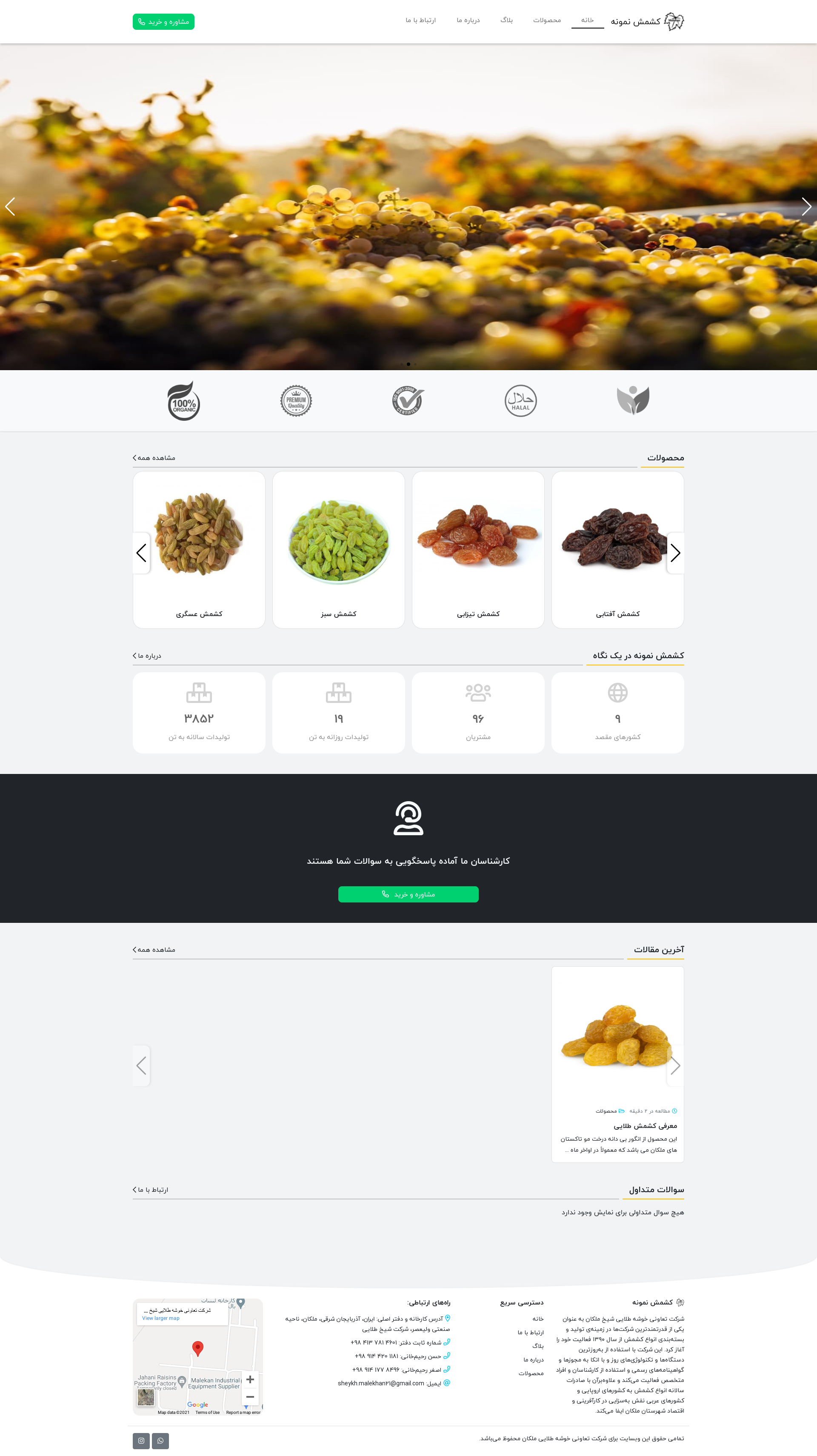 طراحی وبسایت شرکت کشمش نمونه توسط رایاپیکسل